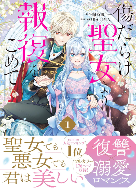 傷だらけ聖女より報復をこめて