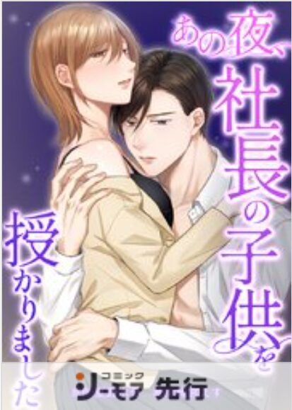 あの夜、社長の子供を授かりました