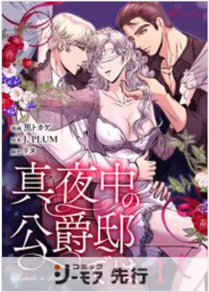真夜中の公爵邸では